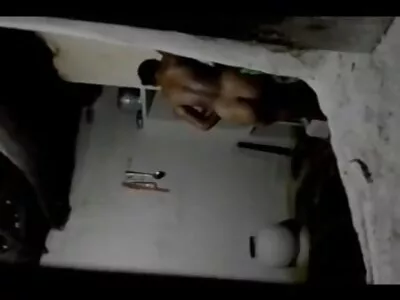 જેનિસ Fucks ઉદ્યોગ ક્રશ વિડિઓ (જેનિસ ગ્રિફિથ)
